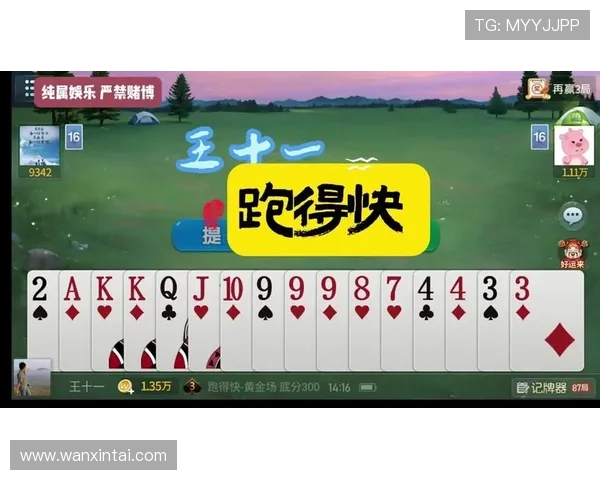 多乐跑得快电脑版免费下载与安装详细指南，轻松体验经典跑得快游戏乐趣